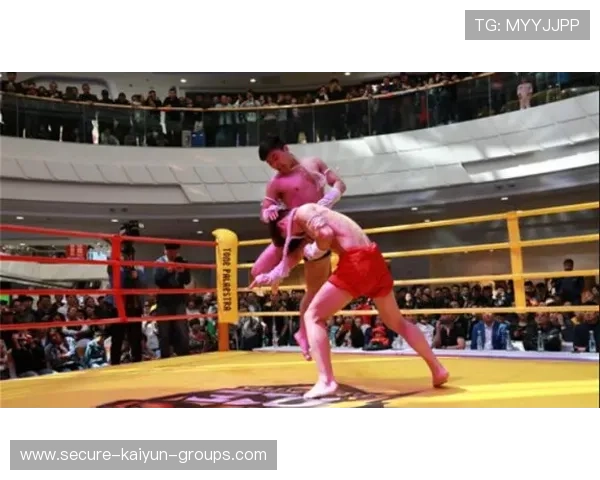 凯尔特人拟在北美设立品牌推广与青训基地，拓展全球影响力